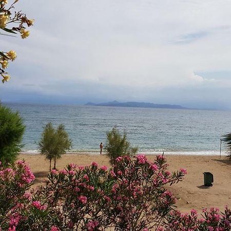 Perfect Beachfront Apartment Athena Bagian luar foto