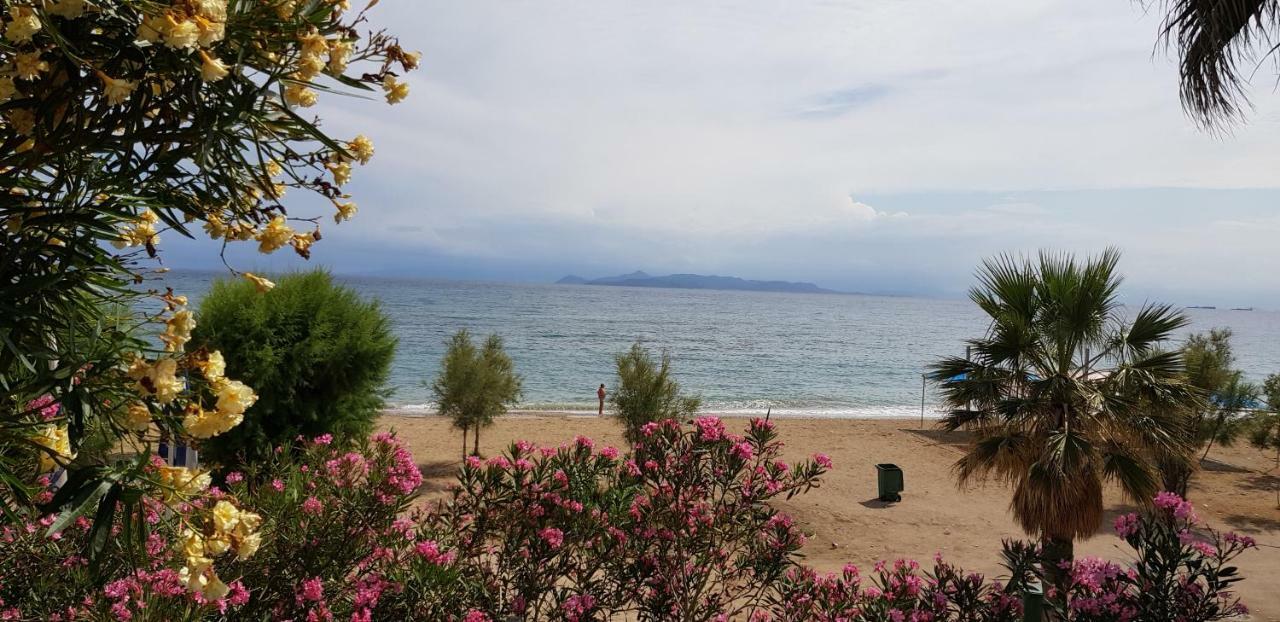 Perfect Beachfront Apartment Athena Bagian luar foto